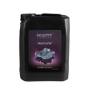 Keystone Resin – KeyGuide – Klar – 5kg